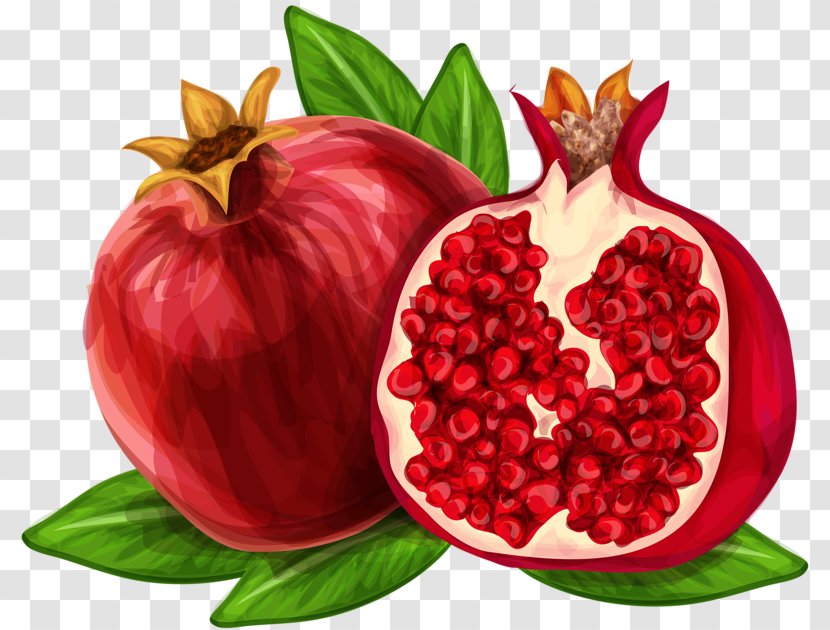 Pomegranate Juice Royalty-free Clip Art - Berry - Hand-painted Watercolor Transparent PNG