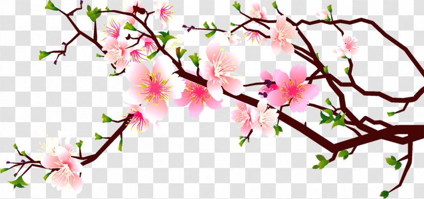 Cherry Blossom Peach Clip Art - Stock Photography - Corner Decoration Transparent PNG