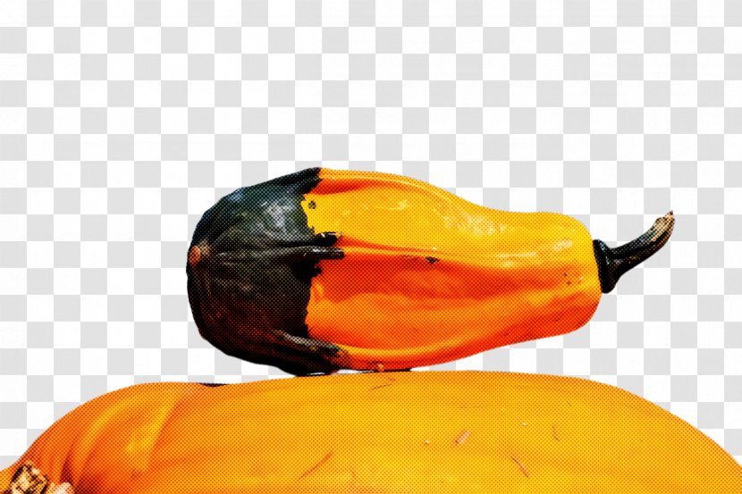 Orange - Yellow - Winter Squash Capsicum Transparent PNG