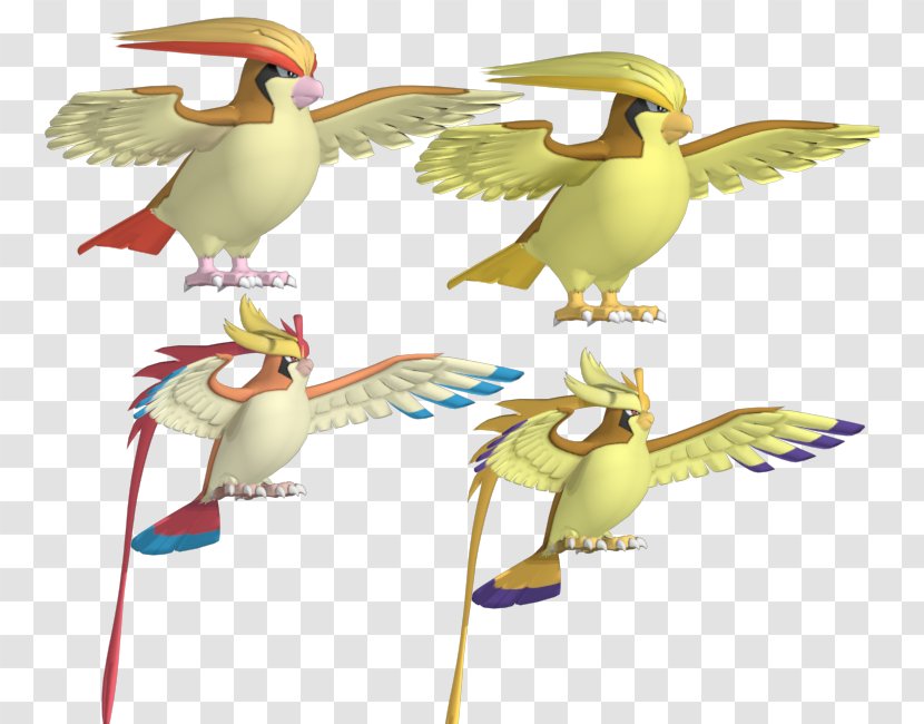 Pokémon X And Y Pidgeotto Image - Charizard - Pokemon Pidgeot Transparent PNG