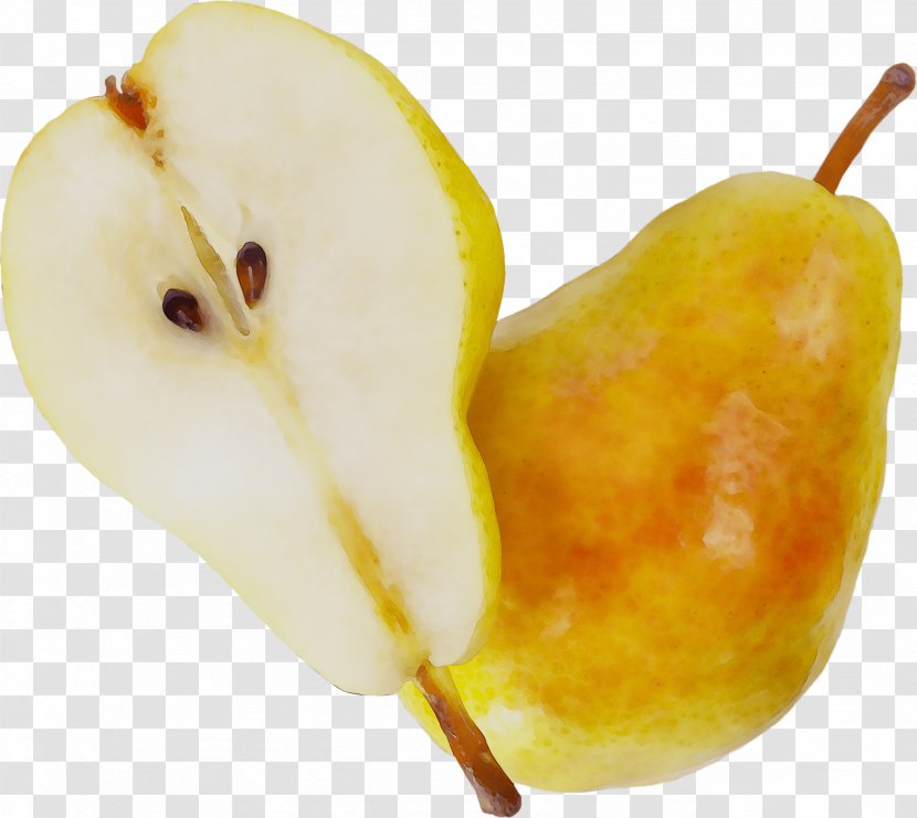 Pear Still Life Photography Accessory Fruit - Plant - Apple Transparent PNG