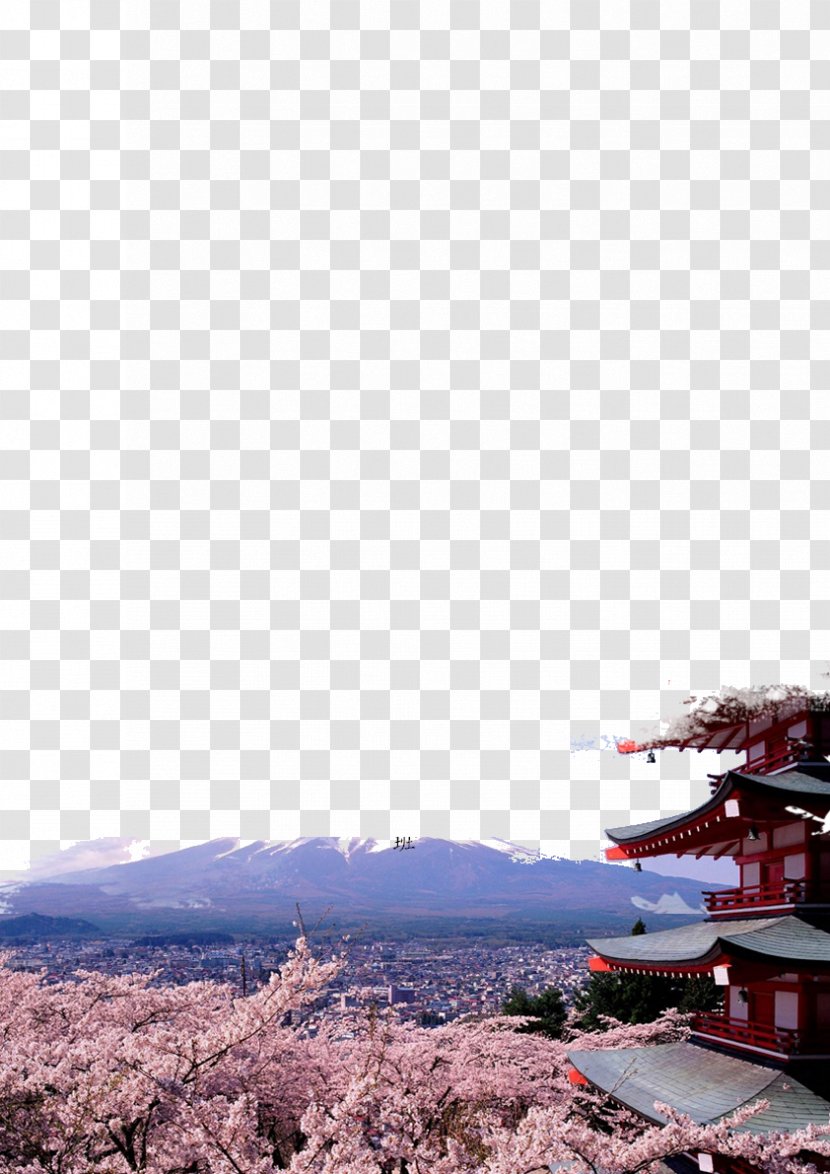 Mount Fuji Tokyo Osaka U014cwakudani Matsumoto - Landscape Photography - Cherry Blossoms Transparent PNG