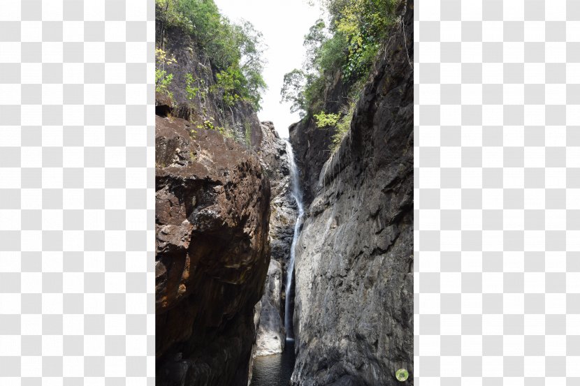 Waterfall Nature Reserve Outcrop Geology Escarpment - Rock - Tree Transparent PNG