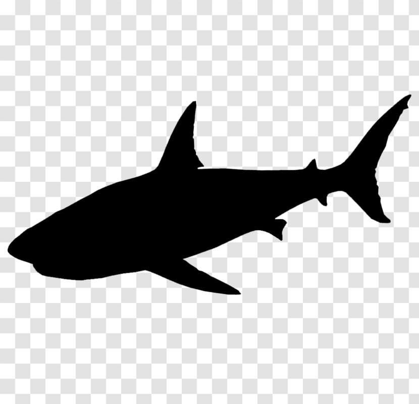 Requiem Sharks Clip Art Fauna Silhouette - Fin - Cartilaginous Fish Transparent PNG