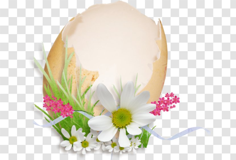 Easter Egg Bunny - PASQUA Transparent PNG
