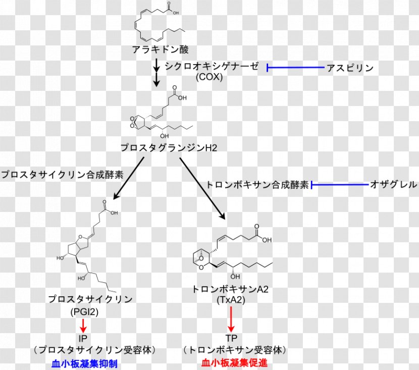 Essential Fatty Acid Interactions Dietary Supplement Prostaglandin Thromboxane Arachidonic - Document - Antiplatelet Drug Transparent PNG