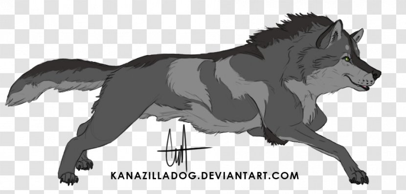 Dog Breed Design Black Wolf Model Sheet - Snout Transparent PNG