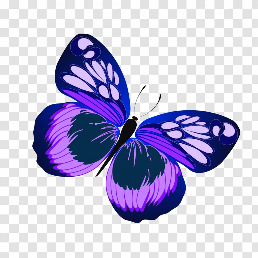 Clip Art Image Butterflies Free Content - Moths And - Friends Butterfly Transparent PNG