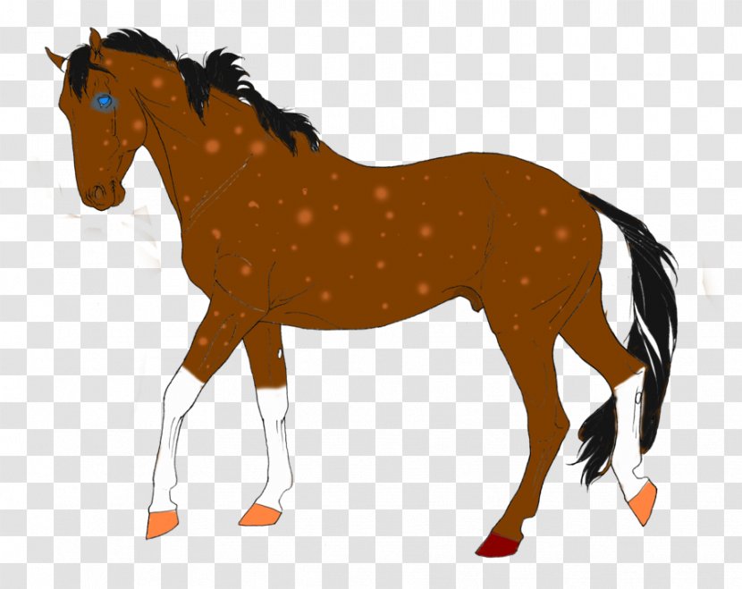 Horse Colt Stallion Mare Pony - Rein - Fear Transparent PNG