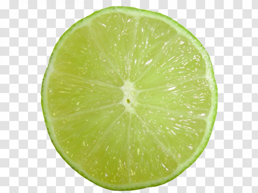 Key Lime Sweet Lemon Persian Transparent PNG
