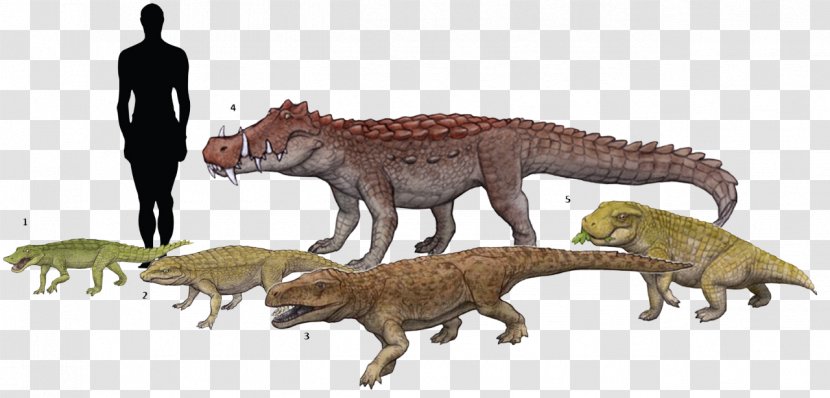 Tyrannosaurus Simosuchus Anatosuchus Notosuchus Kaprosuchus - Animal Figure - Dinosaur Transparent PNG