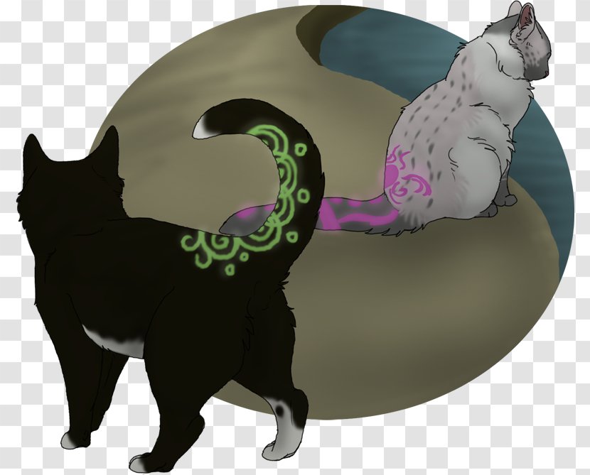 Cat Whiskers Pet Paw Carnivora - Small To Medium Sized Cats - Late Night Transparent PNG