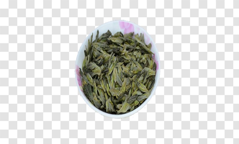 Tea Sencha Mulberry Blood Sugar - Darjeeling - The Function Of Leaf Transparent PNG
