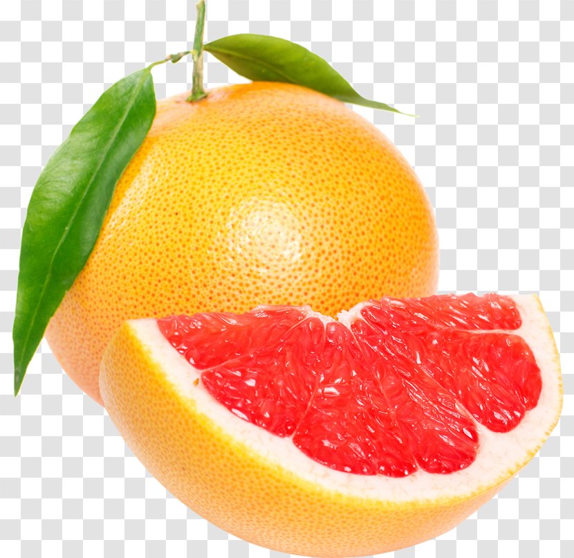 Grapefruit Blood Orange Pomelo Tangerine Tangelo - Bitter Transparent PNG