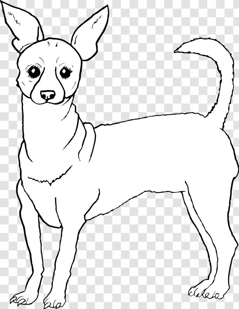 Dog Breed Puppy Hare Whiskers - Like Mammal - Chihuahua Transparent PNG