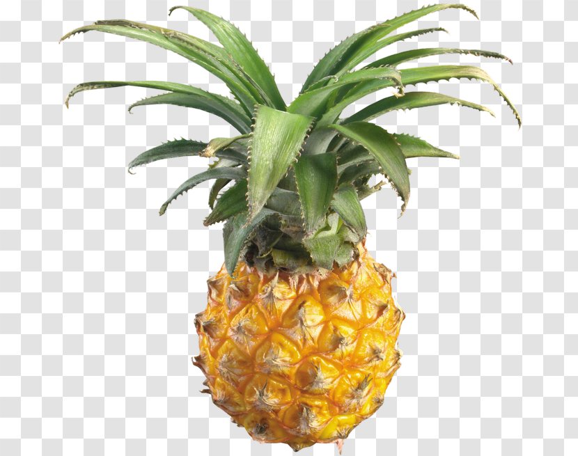 Pineapple Food Slice Clip Art Transparent PNG