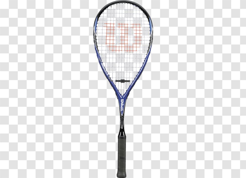 Wilson ProStaff Original 6.0 Racket Squash Tecnifibre Sporting Goods - Head - Ball Transparent PNG