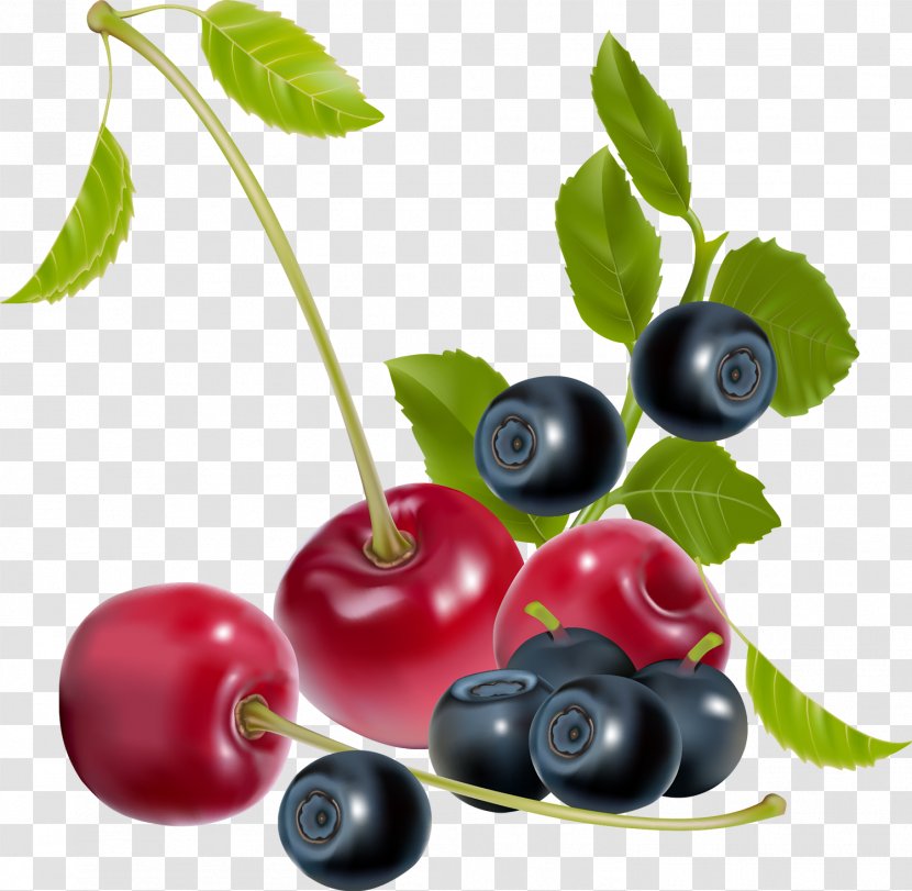 Vector Graphics Illustration Royalty-free Berries Cherries - Food Transparent PNG
