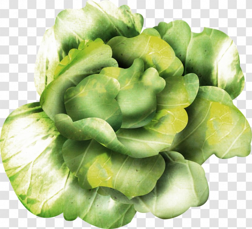 Leaf Vegetable Cruciferous Vegetables Brassica Oleracea Spring Greens - Vegetarian Food - Cumin Transparent PNG