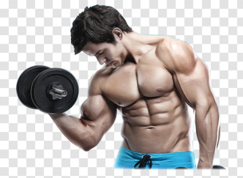 Dietary Supplement Weight Training Exercise Muscle - Flower - Bodybuilding Transparent PNG