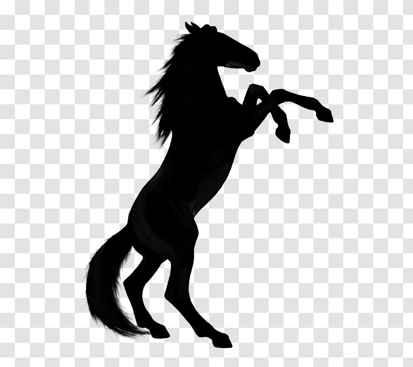 Arabian Horse Rearing Stallion Vector Graphics Clip Art - Drawing - Wildlife Transparent PNG