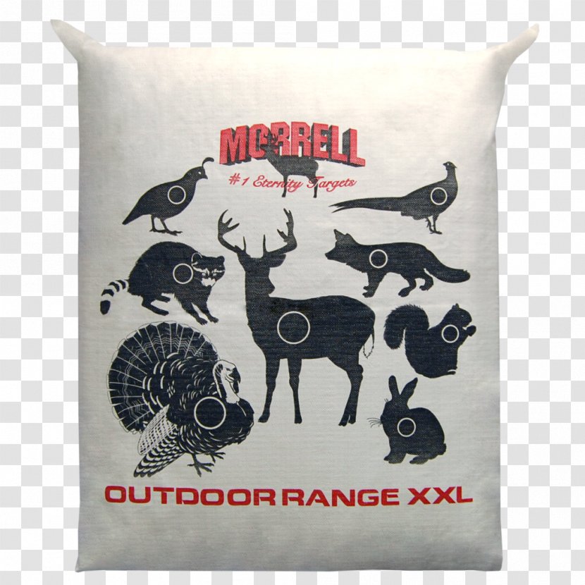 Throw Pillows Amazon.com Outdoor Recreation Target Corporation Cushion - Archery Cover Transparent PNG