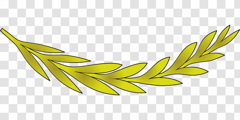 Olive Leaf Branch Clip Art - Laurel Wreath Transparent PNG