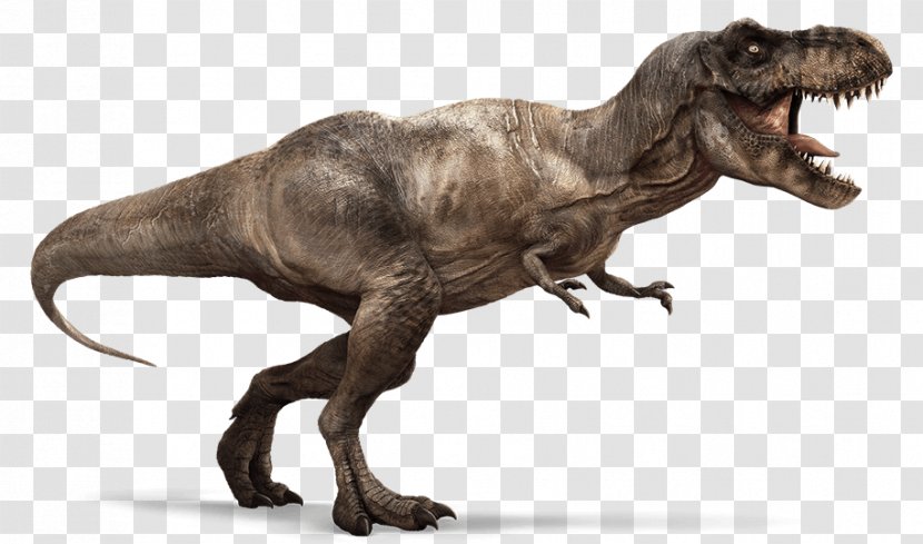 Tyrannosaurus Ankylosaurus Hell Creek Formation Meat-Eating Dinosaurs - Dinosaur Transparent PNG