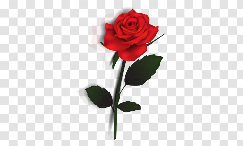 Rose - Flower Arranging - Fresh Green Leaves Red Roses Transparent PNG