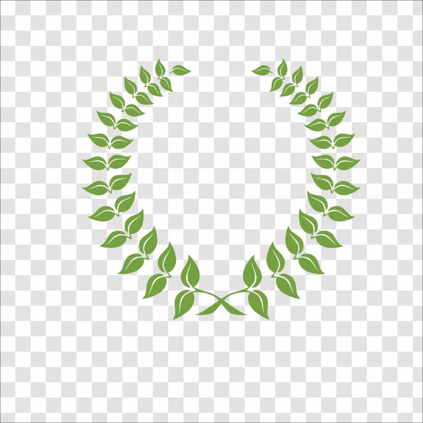 Olive Leaf Laurel Wreath - Branch Transparent PNG