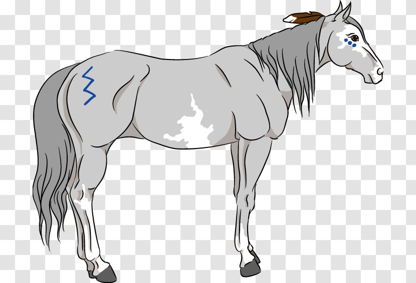Mule Foal Stallion Pony Mare - Halter - Painted Horse Transparent PNG