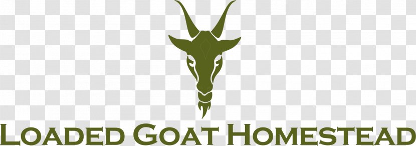 Goat Milk Shaving Soap - Olive Transparent PNG