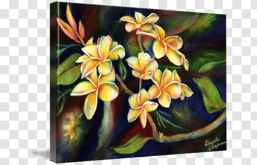 Modern Art Floral Design Oil Painting Reproduction Watercolor - Printmaking - Plumeria Transparent PNG
