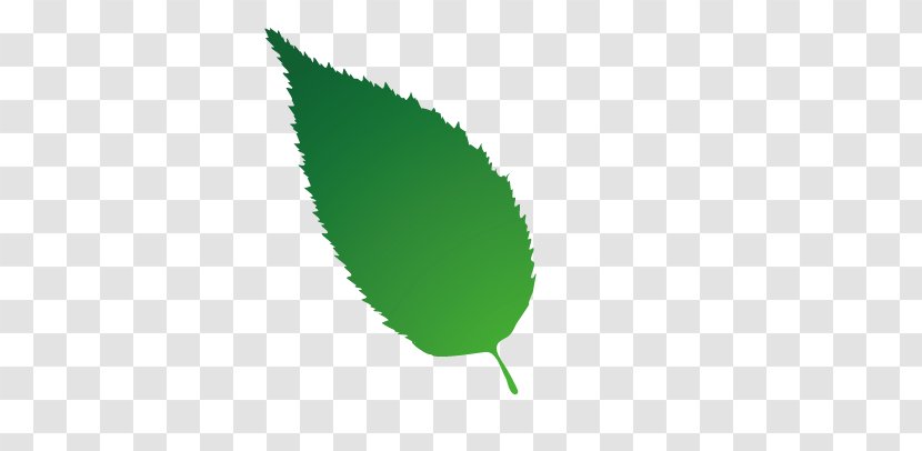 Leaf Computer Wallpaper - Plant - Green Leaves Transparent PNG