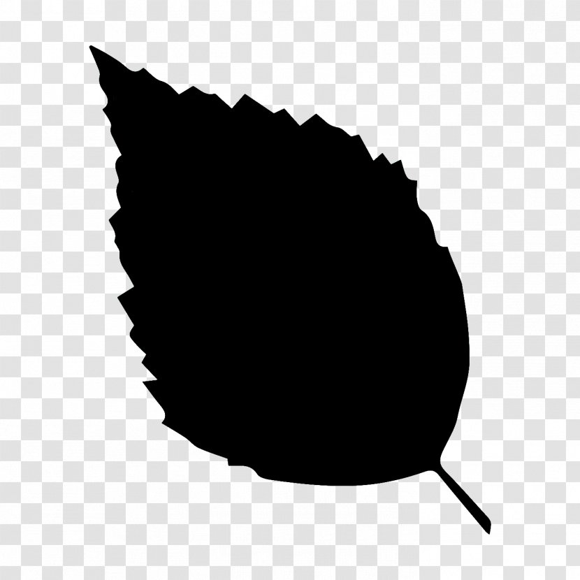 Black Leaf Black-and-white Logo Plant - Monochrome Photography Transparent PNG
