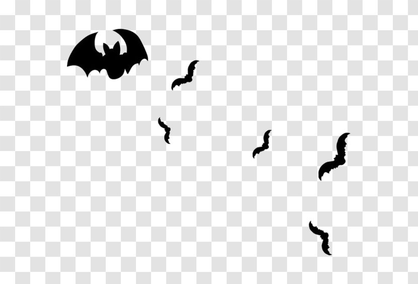 Bat Spider Web - Bird Transparent PNG