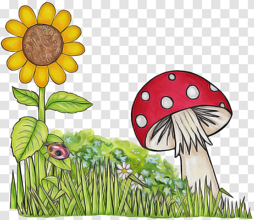 Clip Art Mushroom Cartoon Plant Grass - Family - Wildflower Flower Transparent PNG