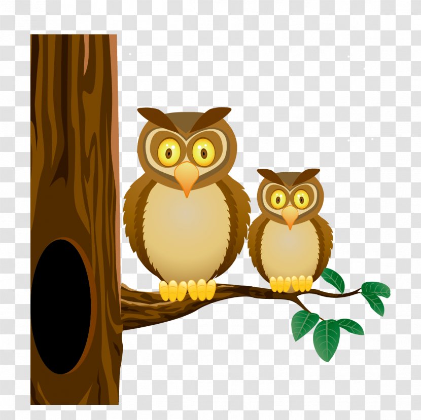 Stock Illustration Drawing Clip Art - Footage - Vector Owl Transparent PNG