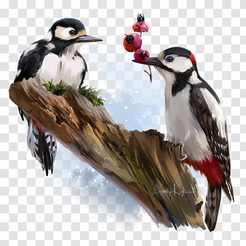 Watercolor Painter - Woodpecker - Leuconotopicus Piciformes Transparent PNG