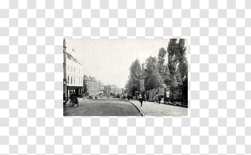 Highgate Hill Hampstead Heath - Monochrome Transparent PNG