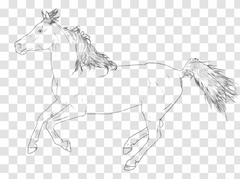 Mustang Arabian Horse Stallion Line Art Pony - Tack Transparent PNG