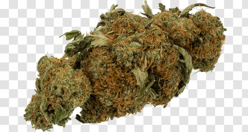 Medical Cannabis Legalization Dispensary Hash Oil - Hemp Transparent PNG
