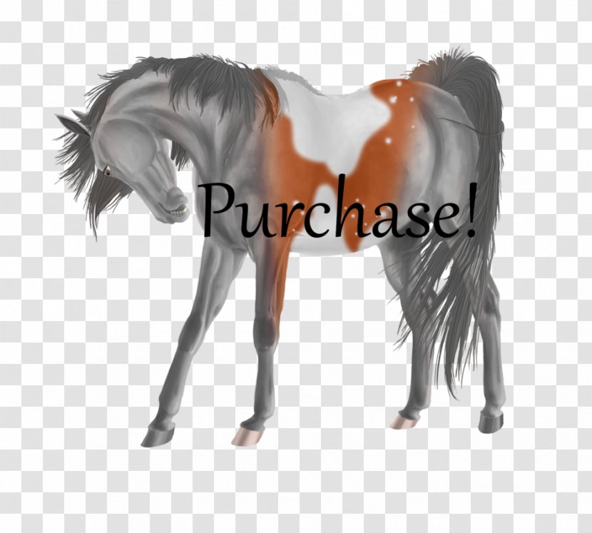 Mane Mustang Stallion Foal Halter - Rein Transparent PNG
