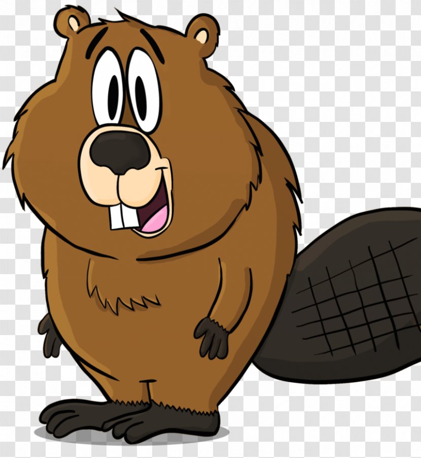 Beaver Cartoon Clip Art - Mammal Transparent PNG