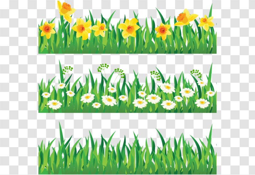 Herbaceous Plant Flower Clip Art - Flowering - Cartoon Grass Transparent PNG