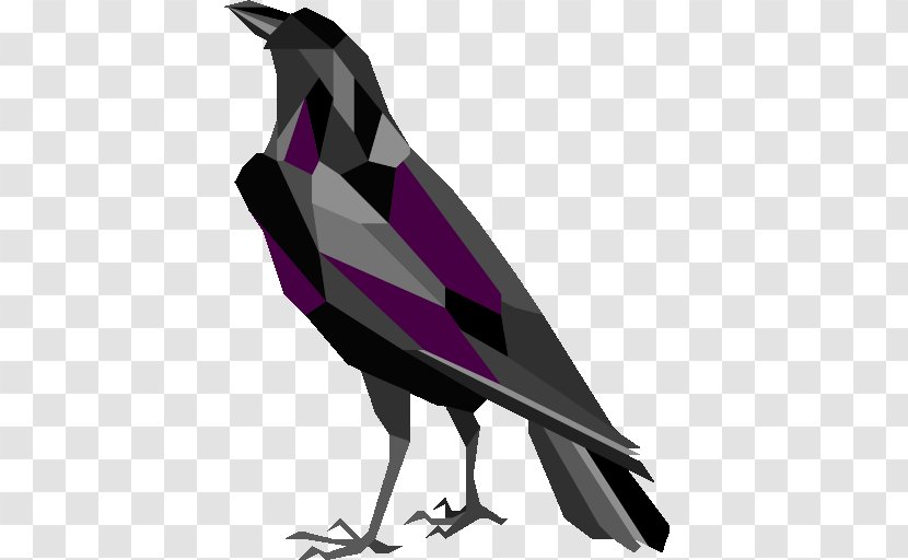 American Crow Rook Brighton Common Raven Bird - Songbird - Strategy Transparent PNG