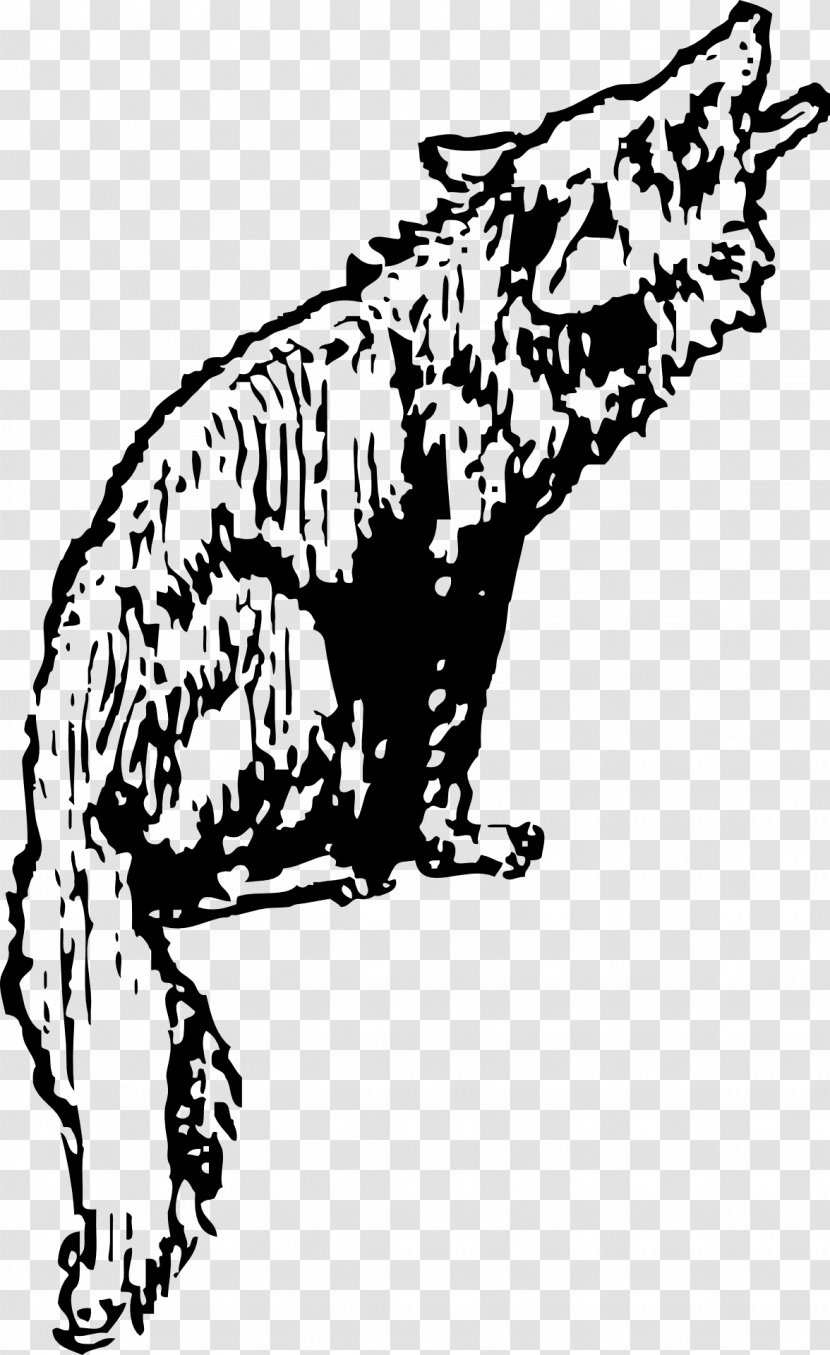Coyote Gray Wolf Clip Art - Dog Like Mammal - Randy Savage Transparent PNG