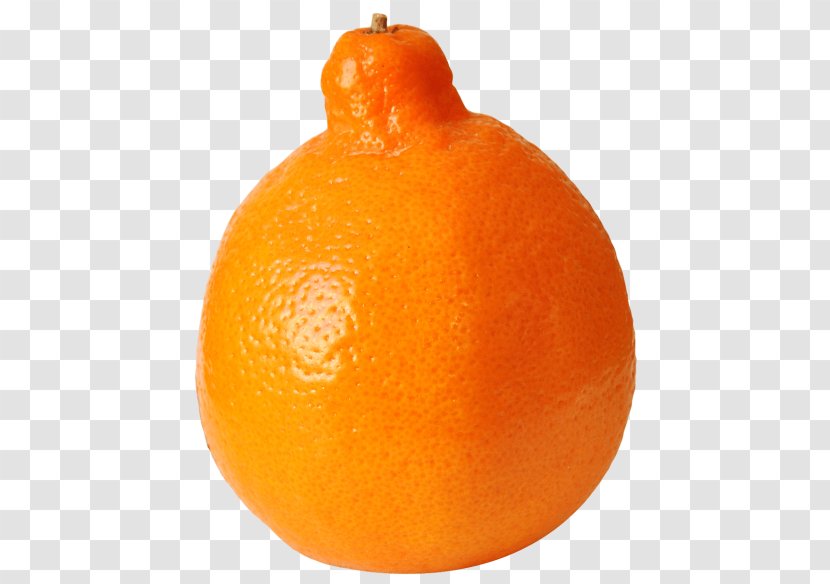 Clementine Tangelo Mandarin Orange Tangerine Blood - Valencia Transparent PNG