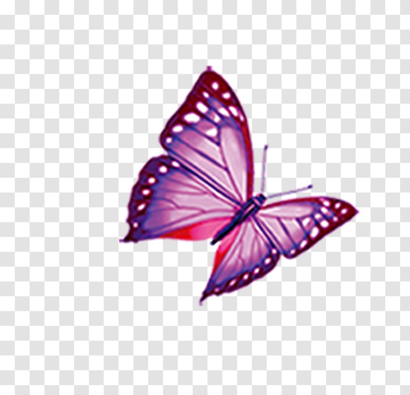 Mimpi Butterfly Computer Keyboard Diamant Koninkrijk BlueBlock Transparent PNG