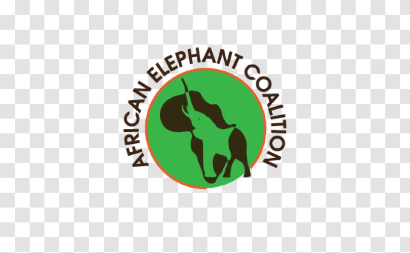 African Elephant Lion Elephantidae Save The Elephants Transparent PNG